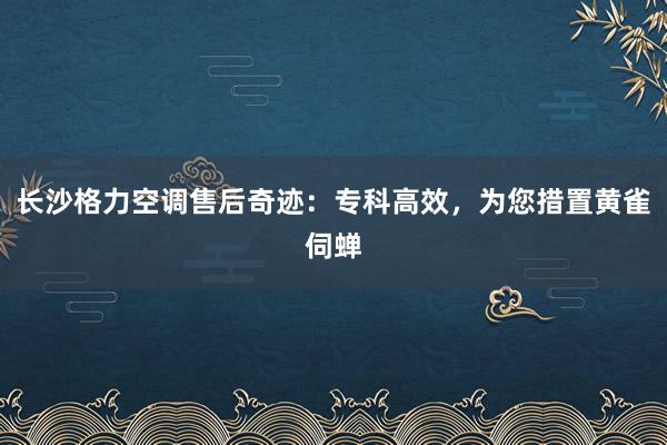 长沙格力空调售后奇迹：专科高效，为您措置黄雀伺蝉